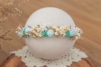 Newborn/Sitter Halo 220