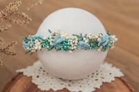 Newborn/Sitter Halo 221