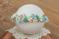 Newborn/Sitter Halo 222