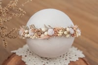 Newborn/Sitter Halo 225