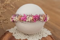 Newborn/Sitter Halo 229