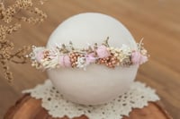 Newborn/Sitter Halo 233