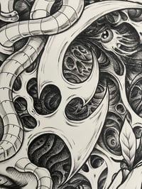 Image 4 of Growth