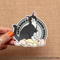 Cats Rule & Babies Drool Sticker