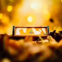 Image 2 of 1968 Bucks Themed (Gold,Blk,White)