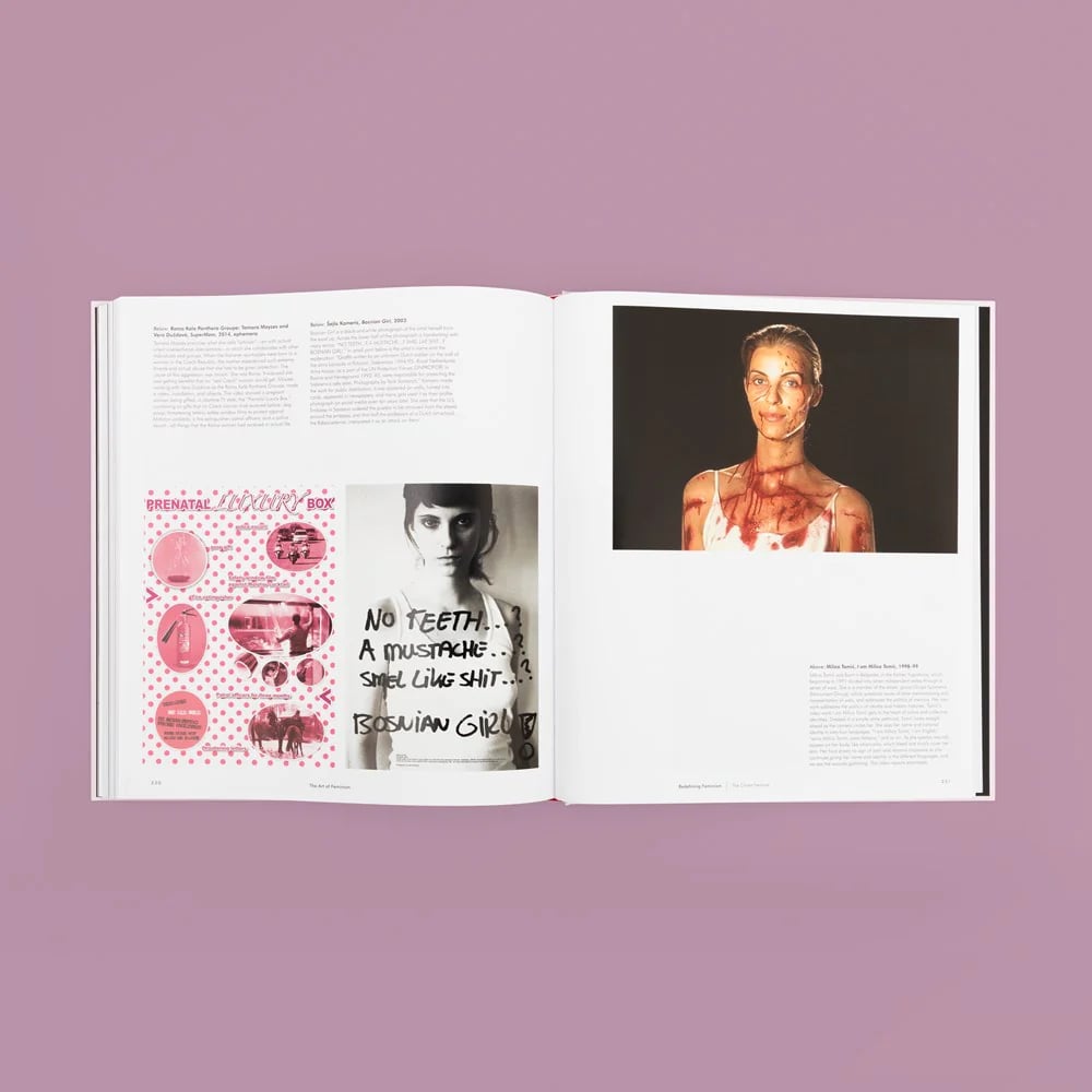 Image of The Art of Feminism