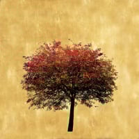 Robert Pereira Hind - 'Sorbus' - Gold Leaf