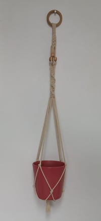 Image 1 of SUSPENSION POUR PLANTE 1