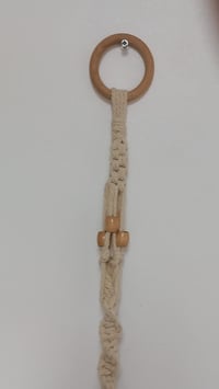 Image 4 of SUSPENSION POUR PLANTE 1