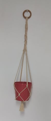 Image 1 of SUSPENSION POUR PLANTE 2