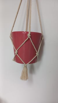 Image 3 of SUSPENSION POUR PLANTE 2