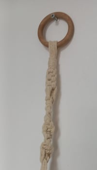 Image 4 of SUSPENSION POUR PLANTE 2