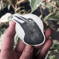 Image 3 of Feral Fauna | Sticker Pack