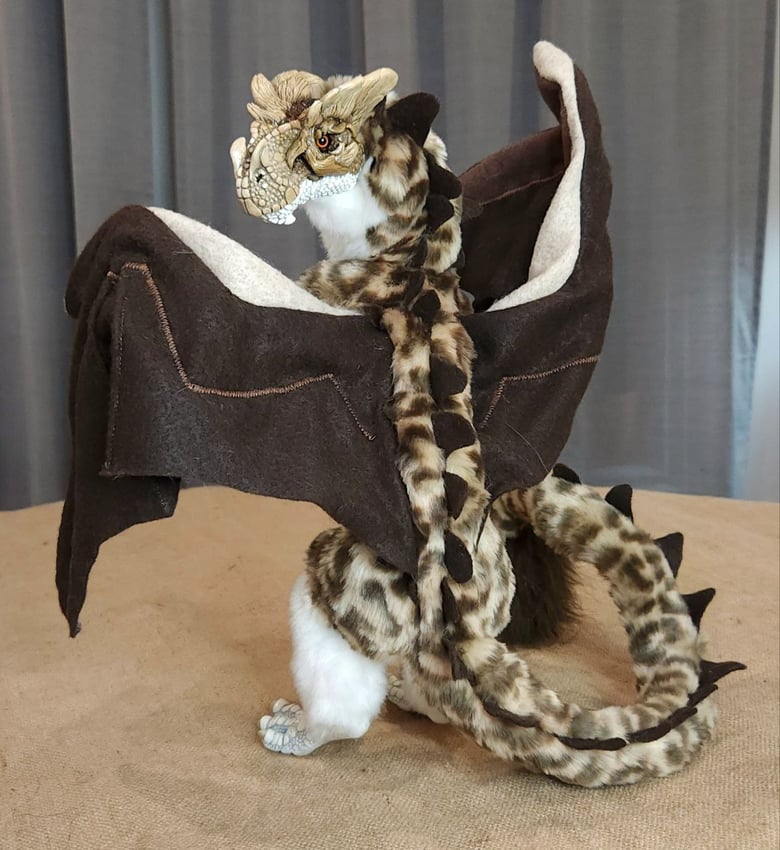 Image of Long Tailed Lynches