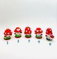 Image 1 of Valentine mushrooms 