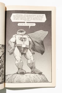 Image 5 of Tales of the Teenage Mutant Ninja Turtles Volume 1