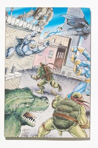 Image 7 of Tales of the Teenage Mutant Ninja Turtles Volume 1