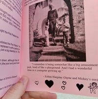 Image 3 of Pink Palace