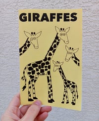 Image 3 of Giraffes