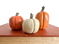 Image 1 of Wood Pumpkin Set 2