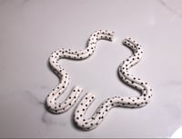 Image 1 of Vega (White/Black Polka Dots)