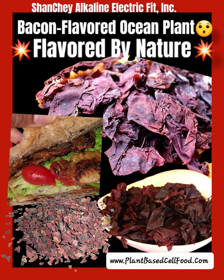 SEA VEGETABLES. Cold Water Chondrus Crispus Irish Sea Moss-Dulse-Sea Lettuce-Kombu-7 Blend-Agar-