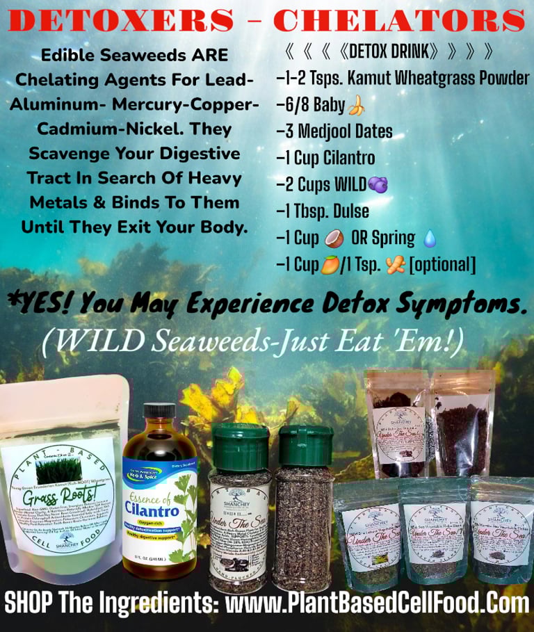 SEA VEGETABLES. Cold Water Chondrus Crispus Irish Sea Moss-Dulse-Sea Lettuce-Kombu-7 Blend-Agar-