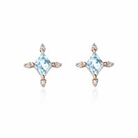Image 1 of Winter Forest Blue Topaz Earring
