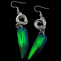Image 1 of Jewel Beetle earrings 