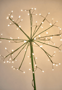 Image 4 of Solar Power Dandelion 