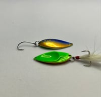 Image 5 of Candy Blue & Brown Horse Mouth