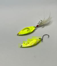 Image 2 of Toxemia Horse Mouth