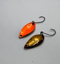 Image 7 of Brown Trout