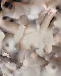 Image 4 of Archeology of Presence -  Ilaria De Benedetto