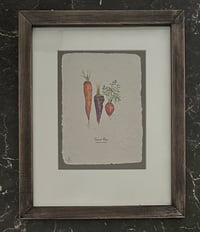 Image 3 of Joanna Gair The Carrot