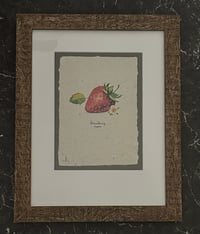 Image 3 of Joanna Gair Strawberry