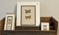Image 2 of Joanna Gair Butterflies