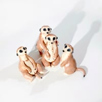 Image 2 of Mob of Meerkats