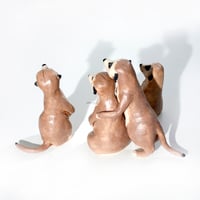 Image 3 of Mob of Meerkats