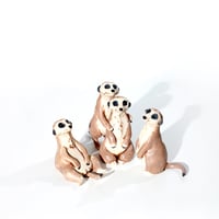 Image 1 of Mob of Meerkats