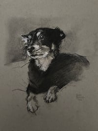 Image 5 of Dog drawings