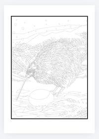 Image 2 of Native Birds of NZ colouring book