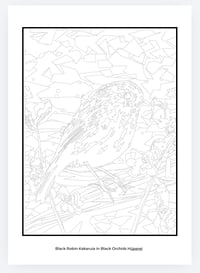 Image 3 of Native Birds of NZ colouring book