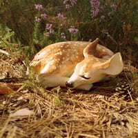 Image 5 of Sleeping Fawn Sculpture