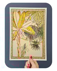 Image 1 of A4 - COLOURFUL CREW 