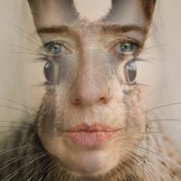 SARY at Jevington Village Hall, 17 April