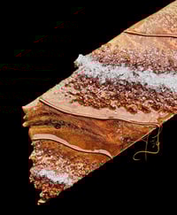 Image 2 of Rocky Top