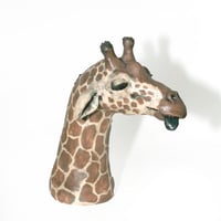 Image 2 of Giraffe