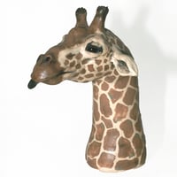 Image 1 of Giraffe