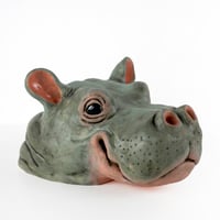 Image 1 of Hippopotamus Portrait